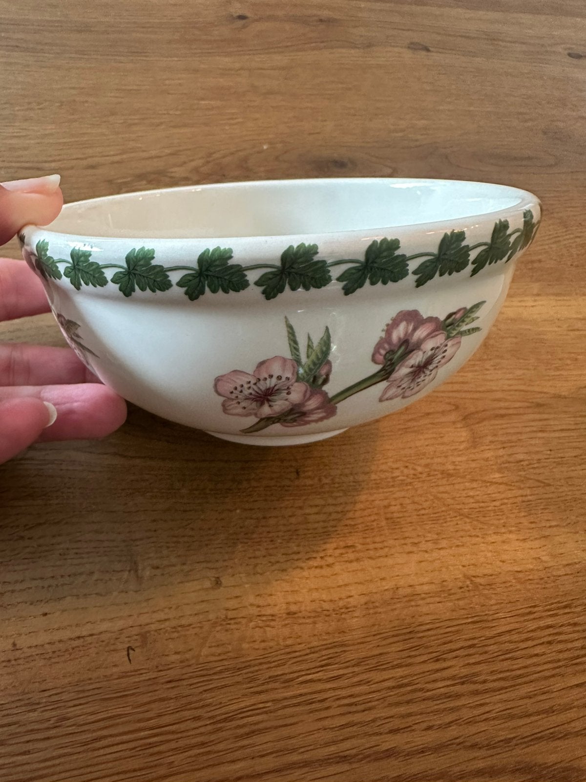 Te koop mooi schaatje afb kersen Portmeiron, Ophalen of Verzenden