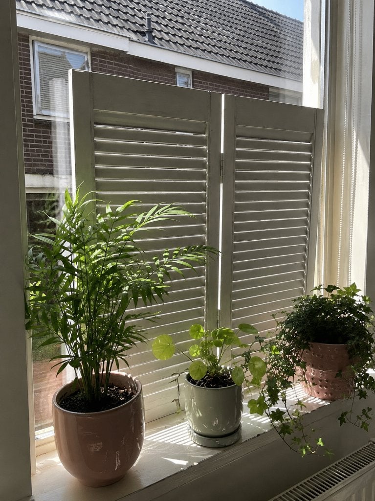 Houten shutters / luikjes wit decoratief of praktisch, Ophalen of Verzenden, Gebruikt