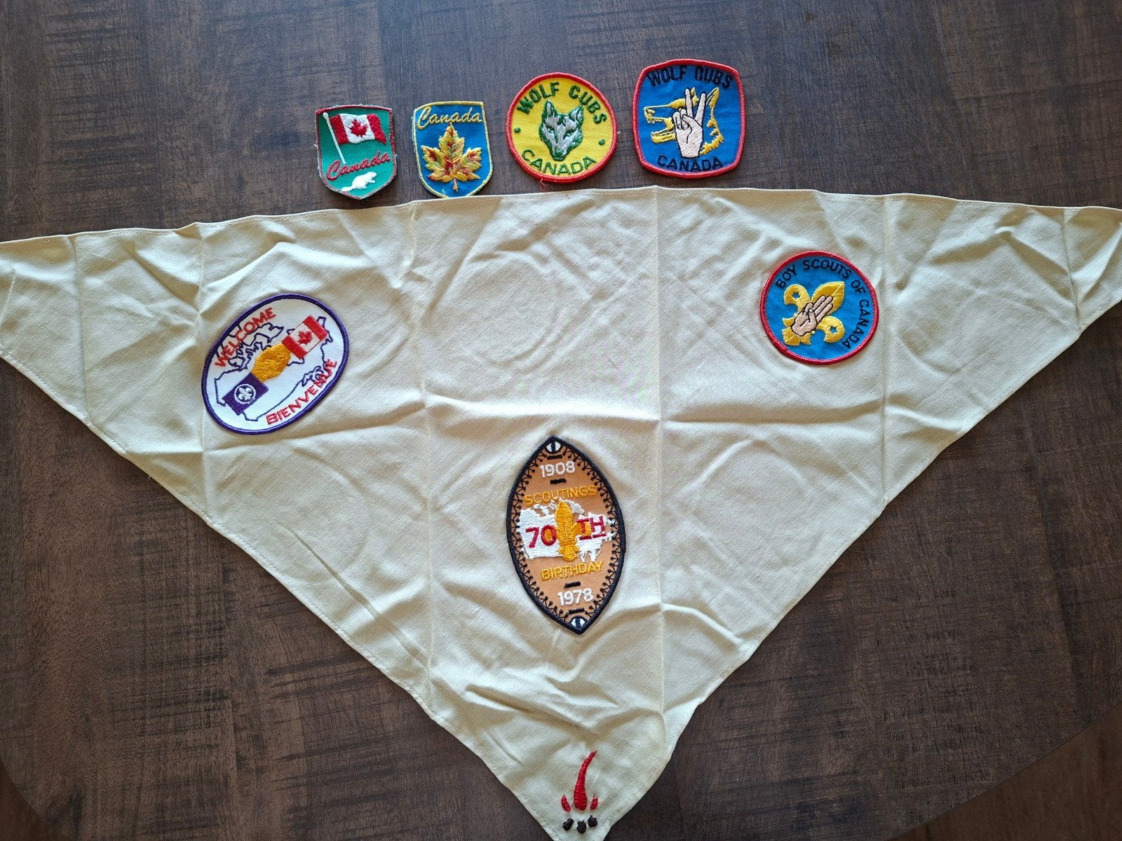 Canada diverse insignes, Ophalen of Verzenden, Zo goed als nieuw, Embleem, Speld of Insigne