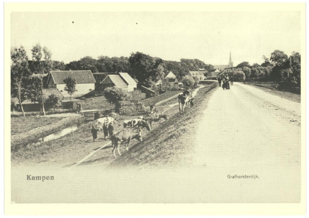 992248 Kampen Grafhorsterdijk _Nette kaart onbeschreven, Verzamelen, Ophalen of Verzenden, 1960 tot 1980, Ongelopen, Overijssel
