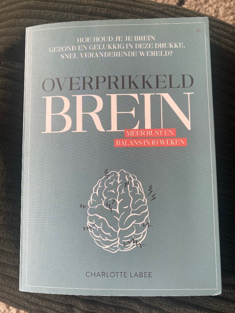 Overprikkeld brein, Boeken, Charlotte Labee, Ophalen of Verzenden, Zo goed als nieuw, Cognitieve psychologie