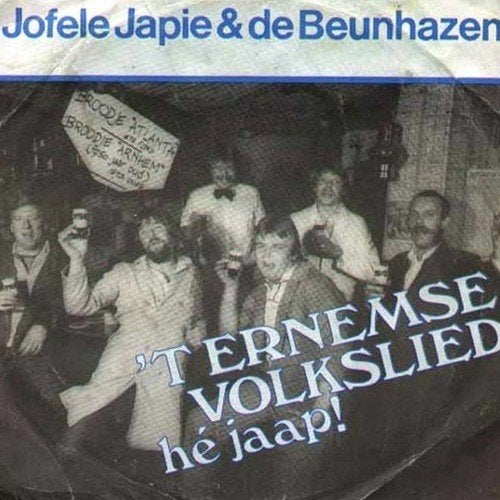 Gevraagd: Jofele Japie & De Beunhazen - Ernems Volkslied, Ophalen of Verzenden, Gebruikt, Nederlandstalig