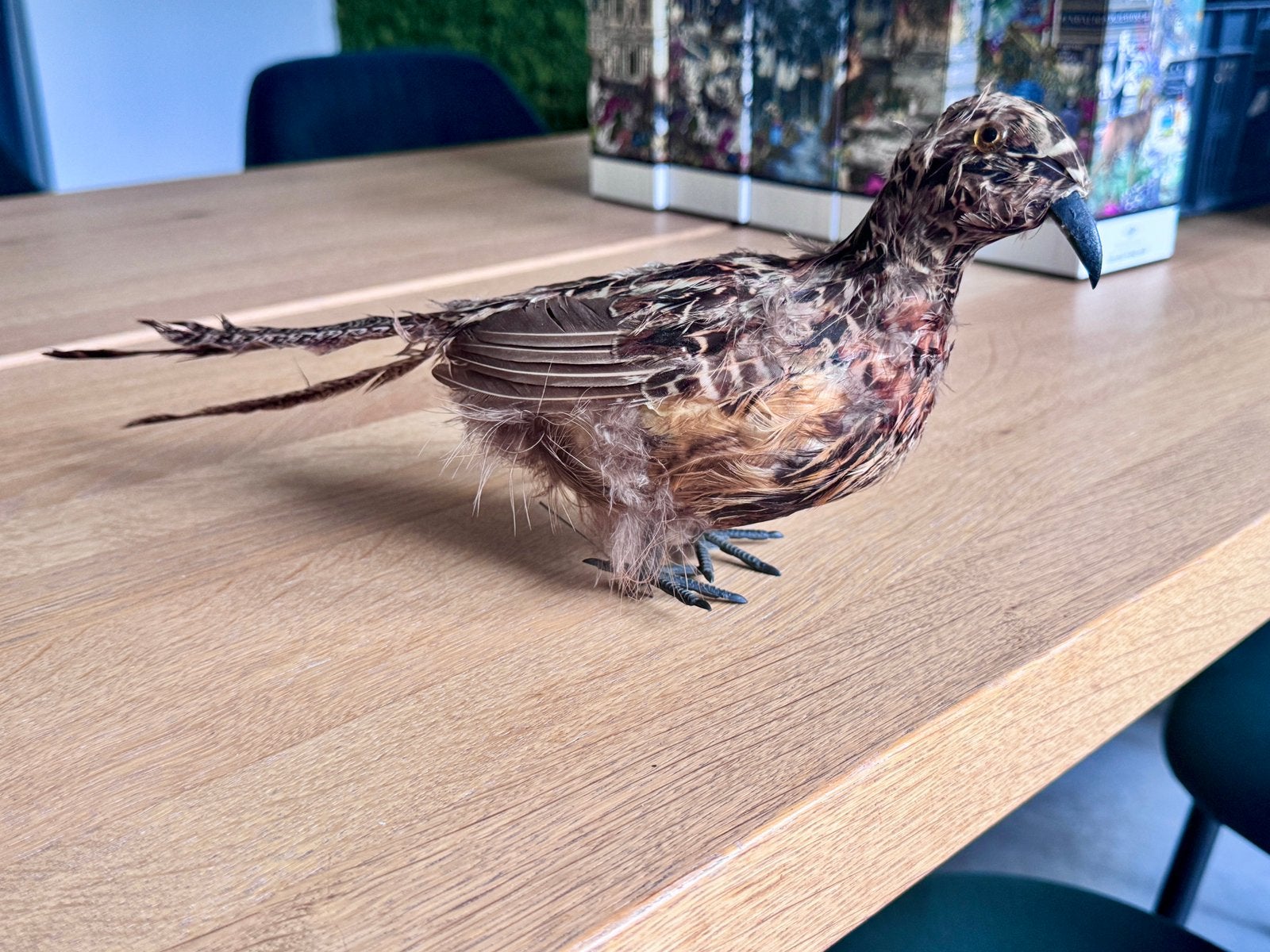 Grote decoratieve fazant met echte veren, Ophalen of Verzenden, Zo goed als nieuw