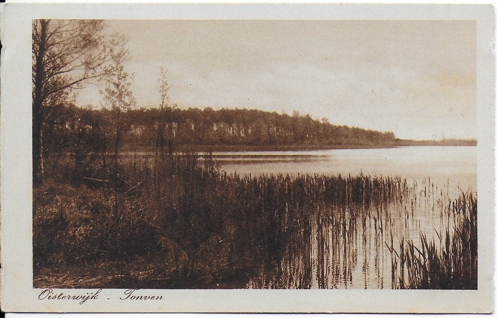 Oisterwijk tonven ongelopen oude ansichtkaart ( b245), Ophalen of Verzenden, 1940 tot 1960, Ongelopen, Noord-Brabant