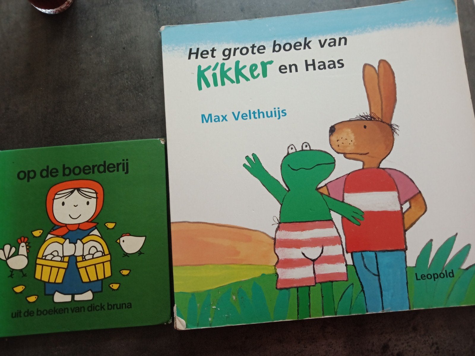 het grote boek van haas.  Max Velthuijs, Ophalen of Verzenden, Zo goed als nieuw, 3 tot 4 jaar