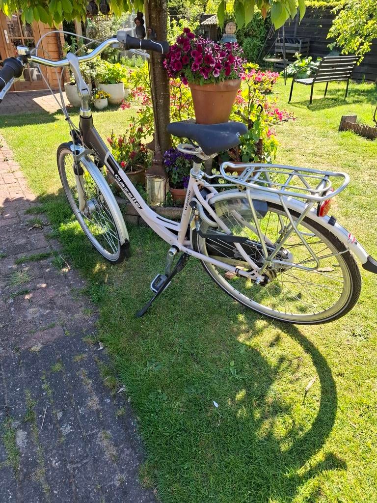 GAZELLE ENERGY, Versnellingen, Ophalen of Verzenden, Zo goed als nieuw, 50 tot 53 cm