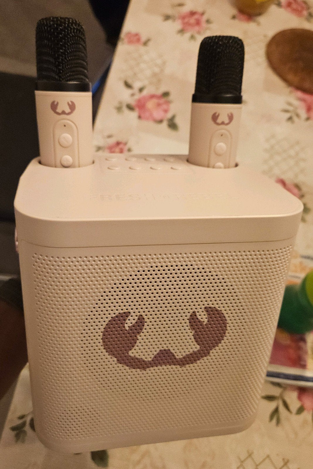 Fresh 'n Rebel Bluetooth Karaokespeaker met 2 Microfoons, Ophalen, Zo goed als nieuw, Complete set