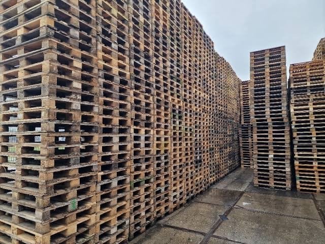 Wij Kopen uw Pallets Europallets Epal Wegwerp 80x120 H1, Ophalen, Overige typen, 50 mm of meer, Minder dan 200 cm