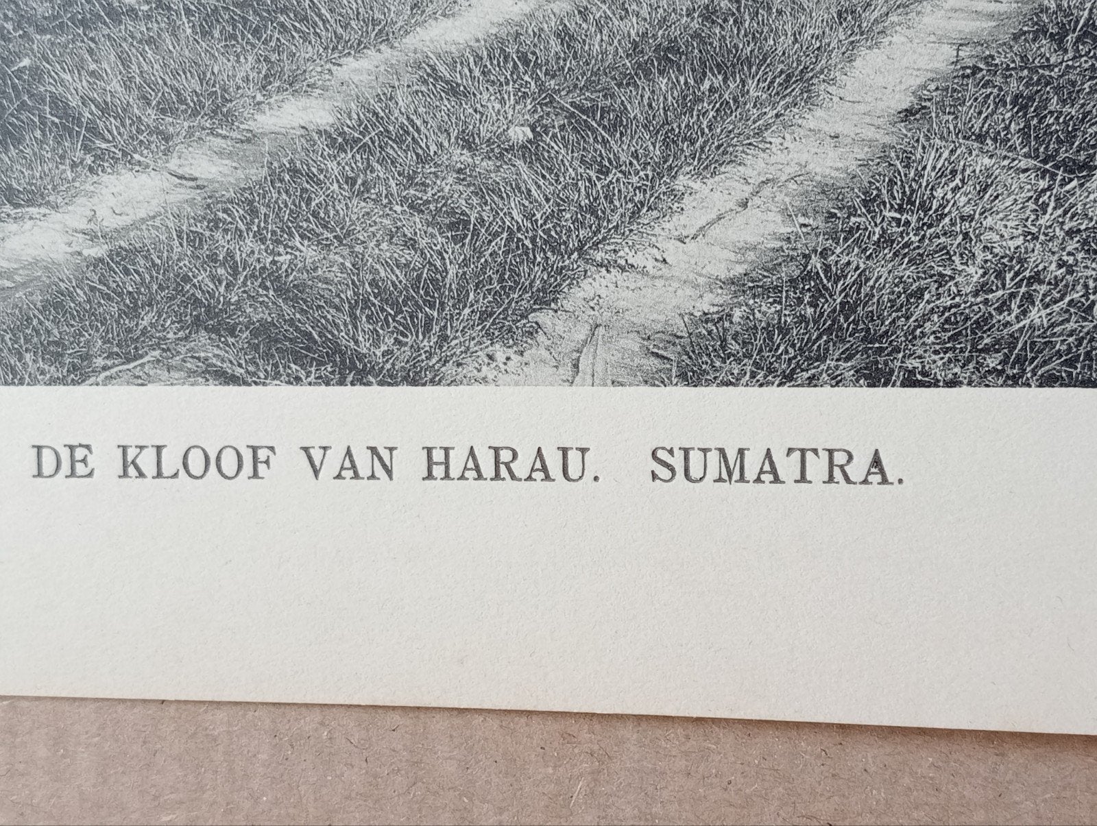 Foto gravure Nederlands Indië Indonesië Indonesia 1910, Ophalen of Verzenden, Gelezen, Overige onderwerpen