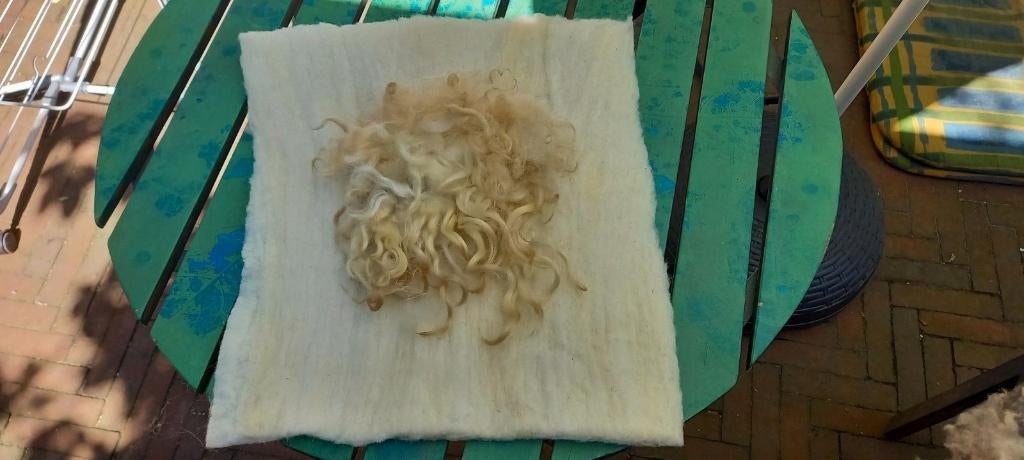 gevilte gekaarde Texelaar wol + middenstukje Racka, Hobby en Vrije tijd, Vilt, Nieuw, Versiering, Wolvilt, Verzenden