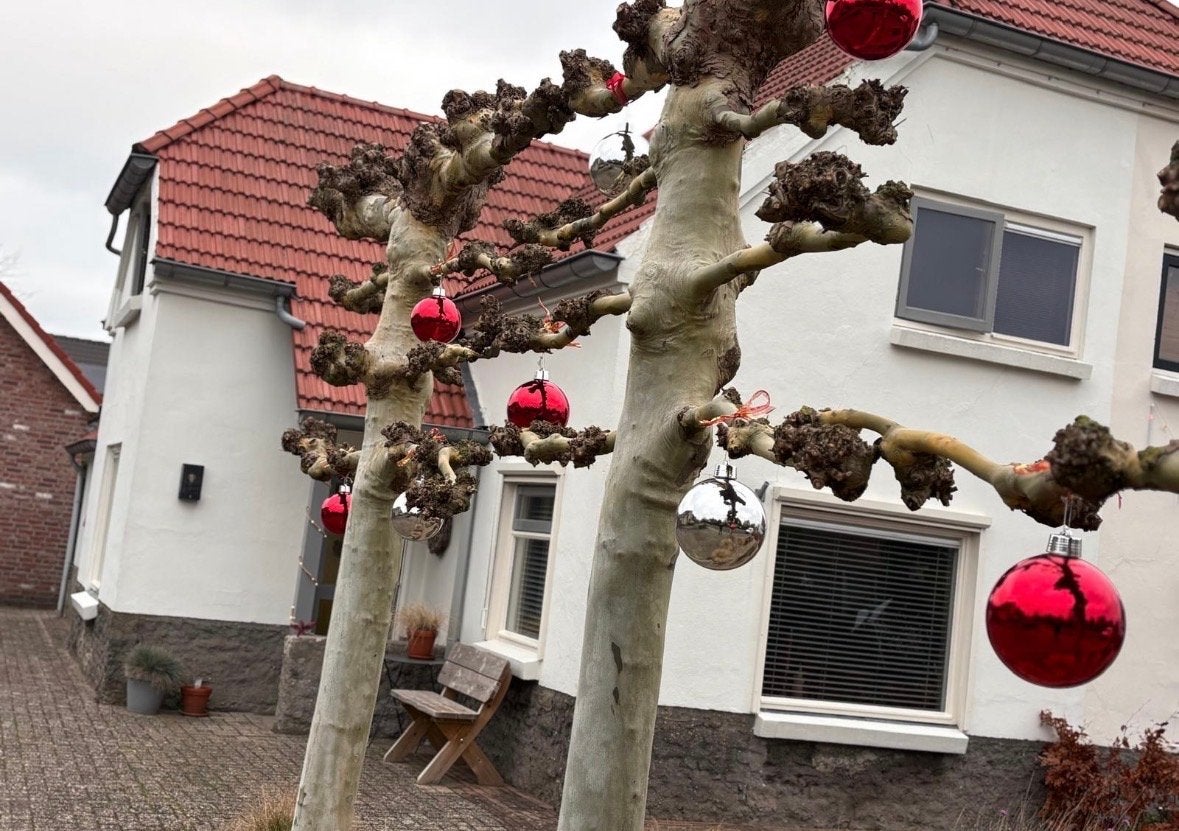 Reuze kerstballen 20 cm., Diversen, Kerst, Ophalen