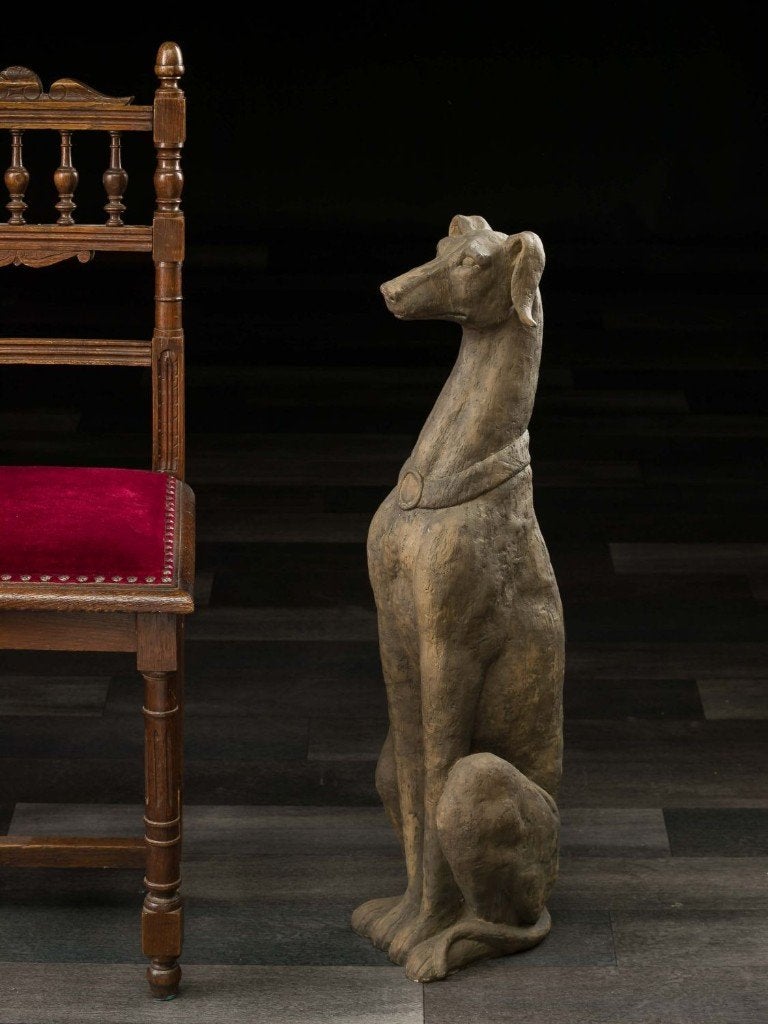 groot windhond hond whippet greyhound beeld, Ophalen of Verzenden
