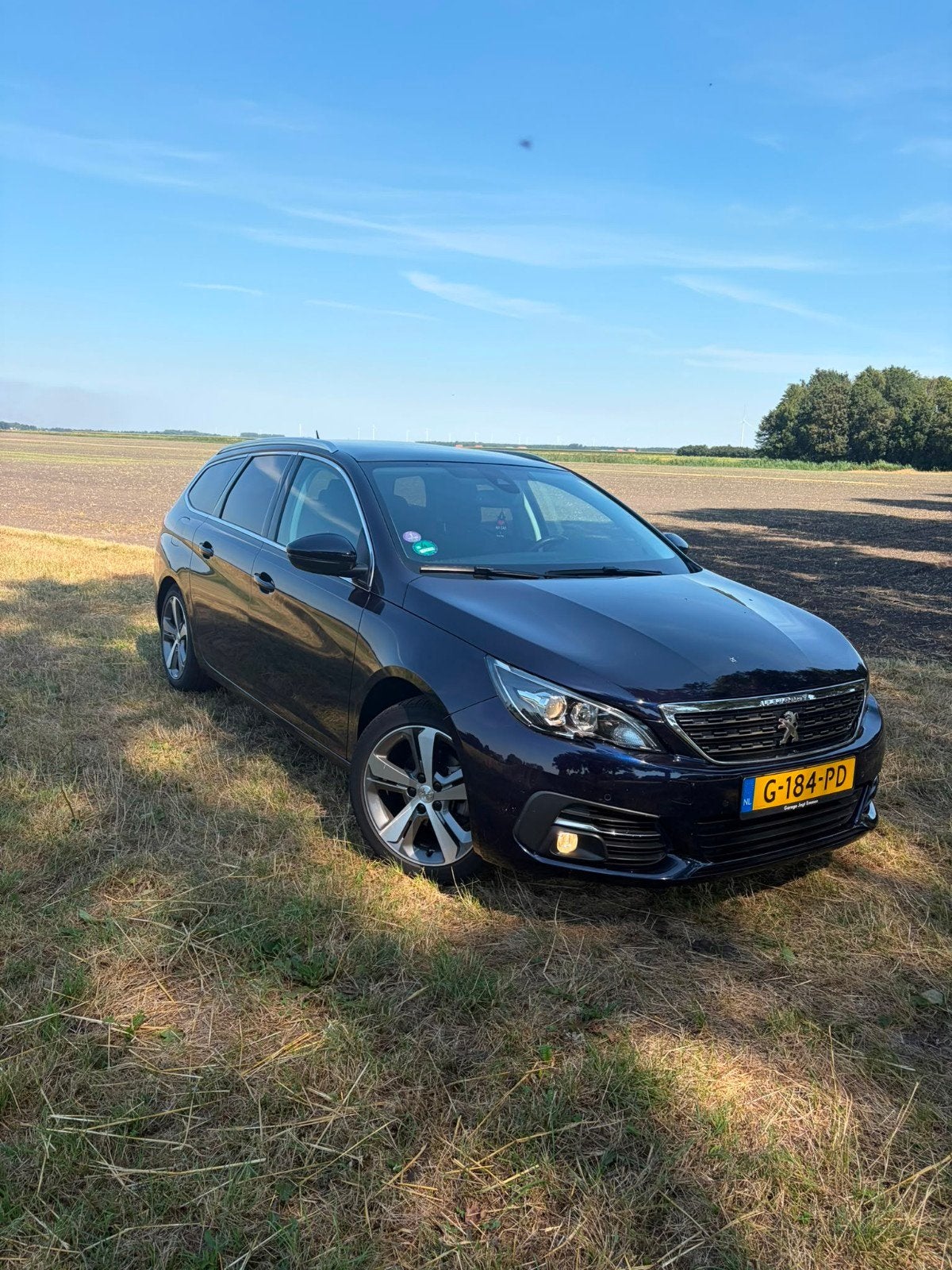Peugeot 308 1.2 Puretech 130pk S&S 2019 Blauw, Voorwielaandrijving, 1199 cc, Origineel Nederlands, 3 cilinders