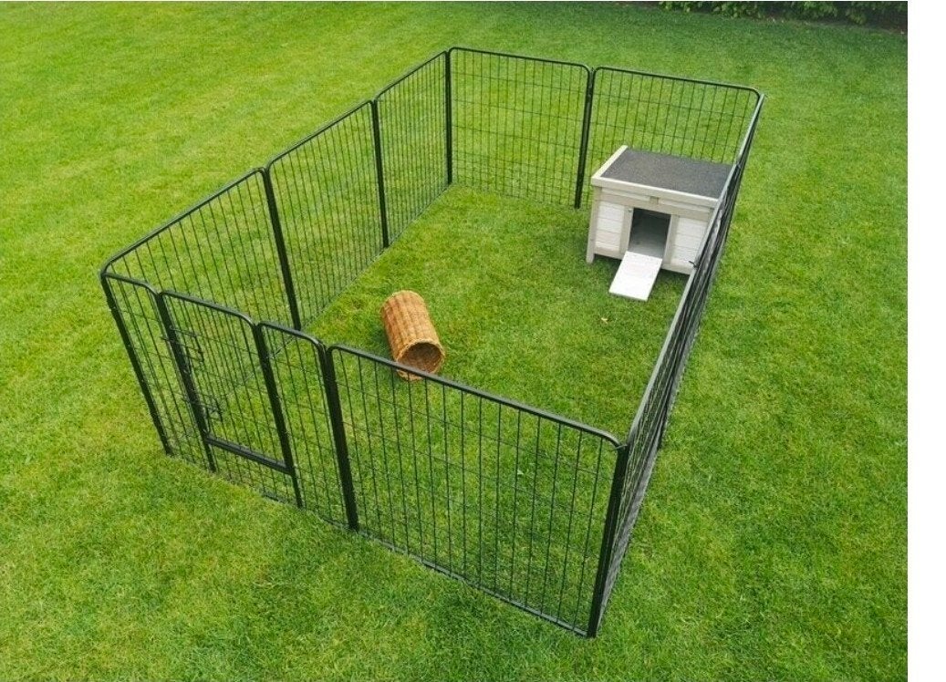 puppyrennen konijnenrennen NIEUW, Ophalen, Nieuw