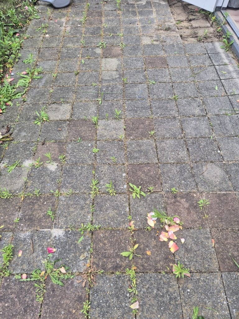 Gratis af te halen tuintegels, Ophalen, Gebruikt, 10 m² of meer, Beton