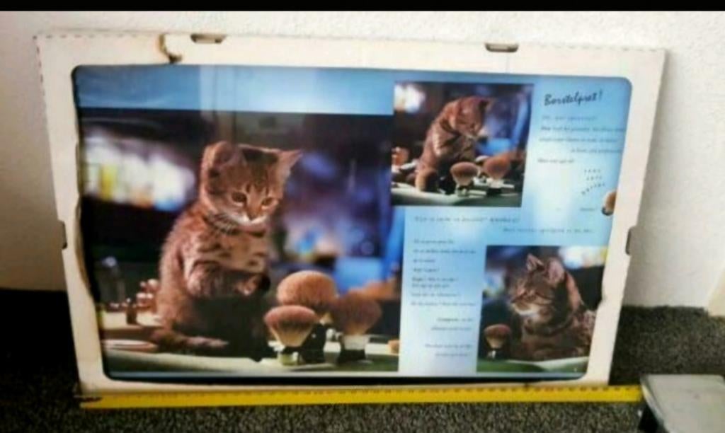 Poster kitten poes nieuw Verzendkosten koper, Audio, Tv en Foto, Fotografie | Digitale fotolijsten, Ophalen of Verzenden, Nieuw