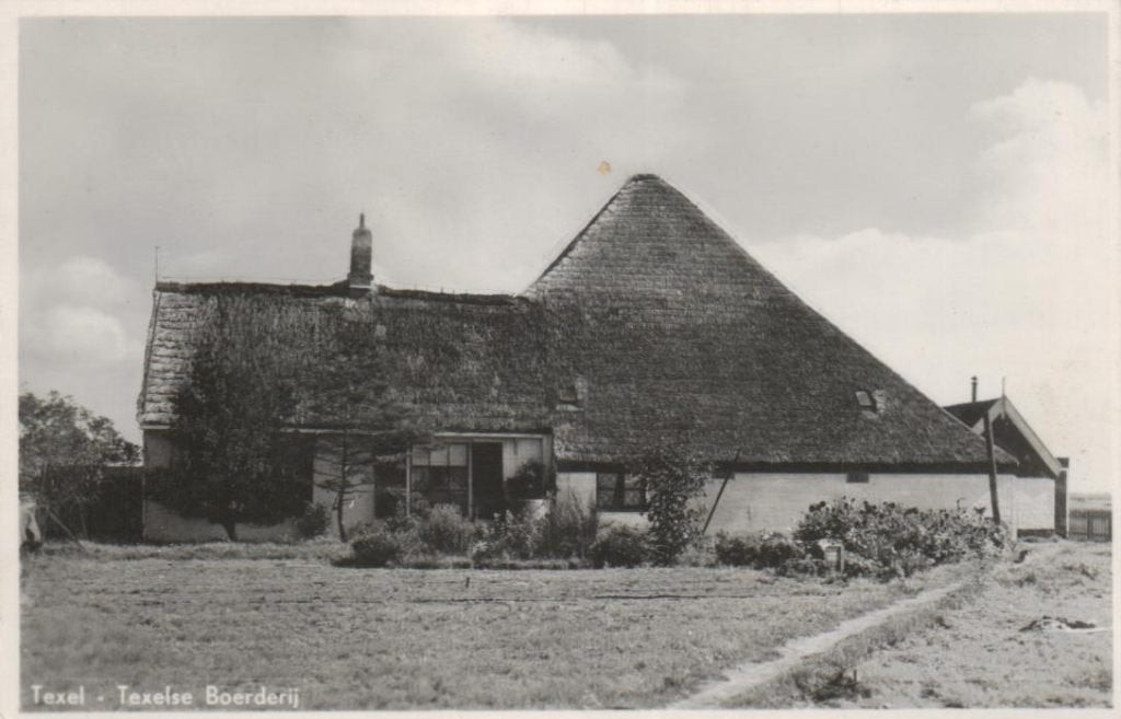 56 Texel Texelse Boerderij 1950 gelopen, Verzamelen, Ophalen of Verzenden, 1940 tot 1960, Gelopen, Waddeneilanden