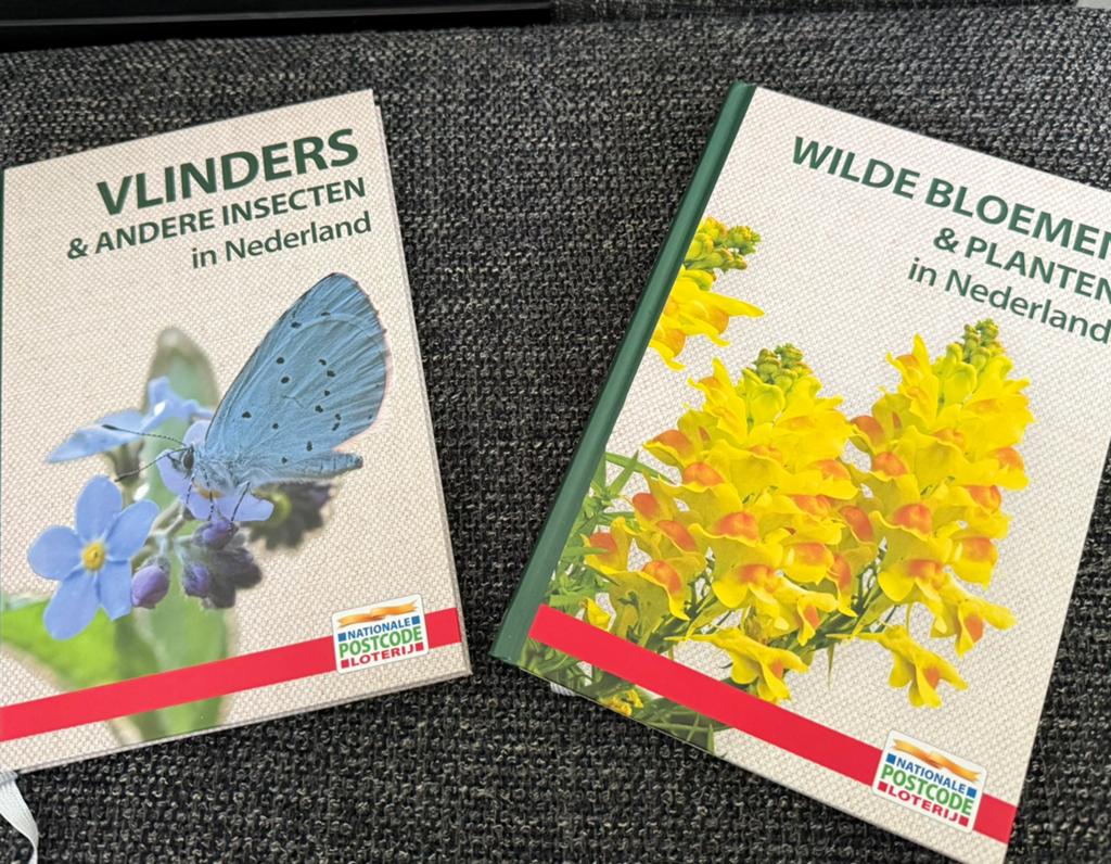 Vlinders en wilde bloemen., Ophalen, Nieuw, Bloemen, Planten en Bomen