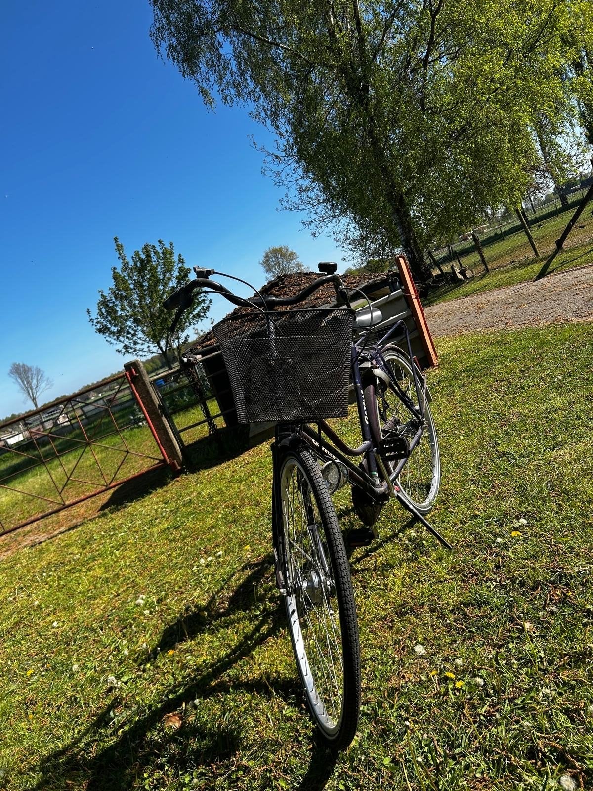 Gazelle Damesfiets met mand - Gebruikt, Fietsen en Brommers, Fietsen | Dames | Damesfietsen, Ophalen, Terugtraprem, Gazelle, 53 tot 56 cm