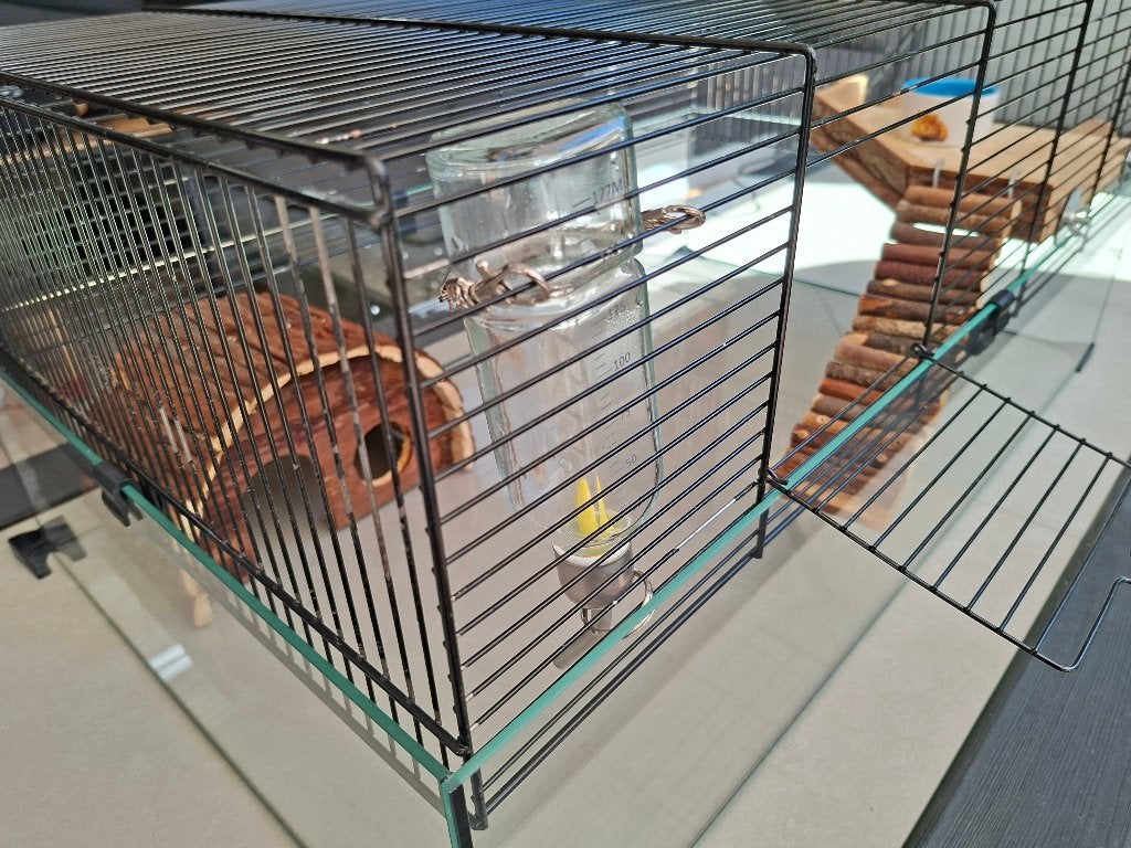 zeer mooie grote hamsterkooi, Kooi, Gebruikt, Minder dan 75 cm, Rat