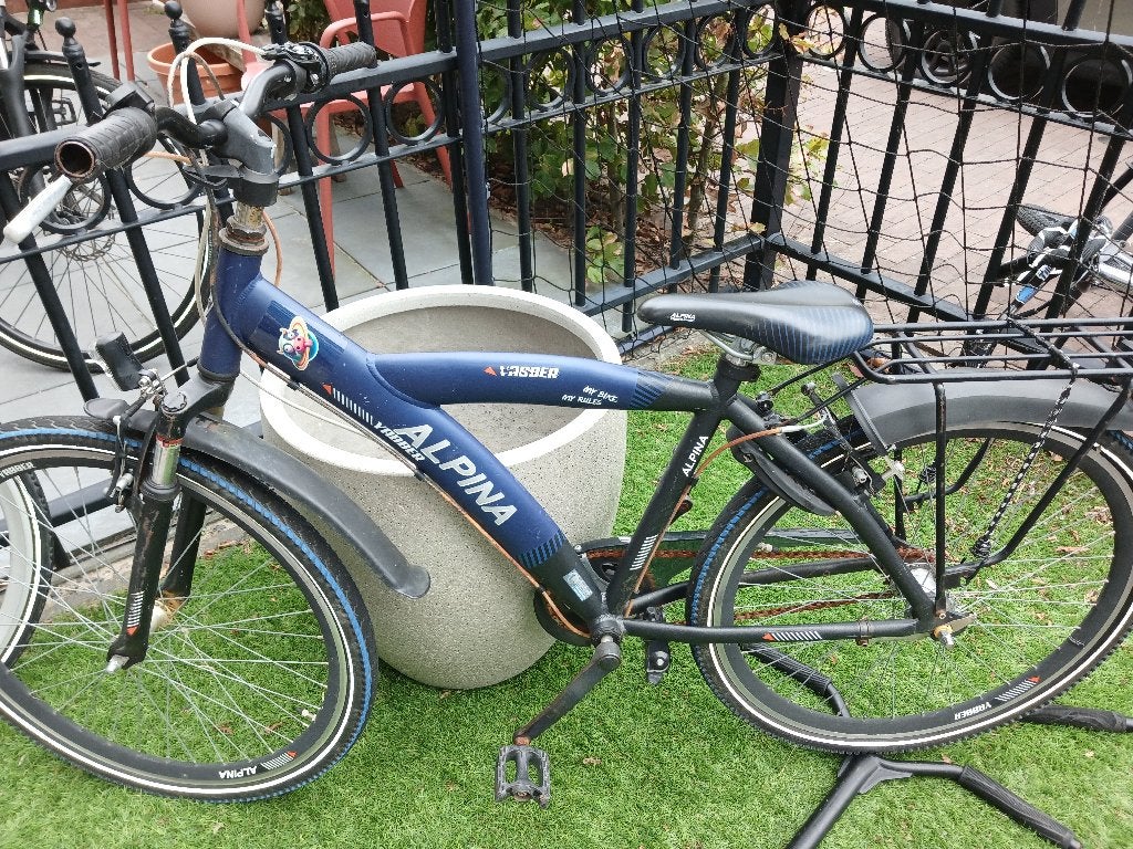 Alpine 24 inch, Fietsen en Brommers, Fietsen | Jongens, Ophalen, Terugtraprem, Alpine, Handrem