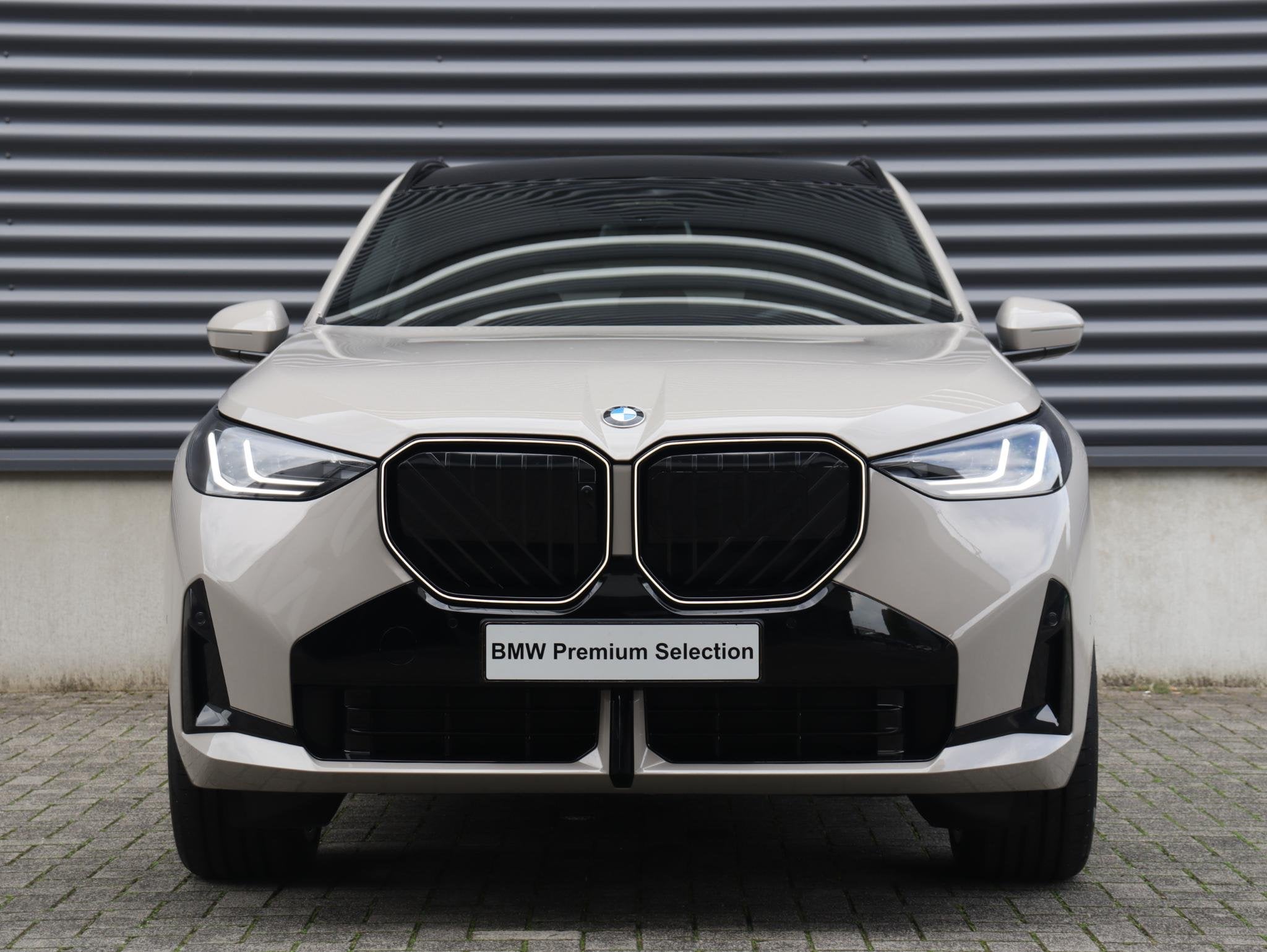BMW X3 30e xDrive | M Sport Pro | SOH 100% | Trekhaak | Head, Auto's, Automaat, 1998 cc, Stof, 4 cilinders