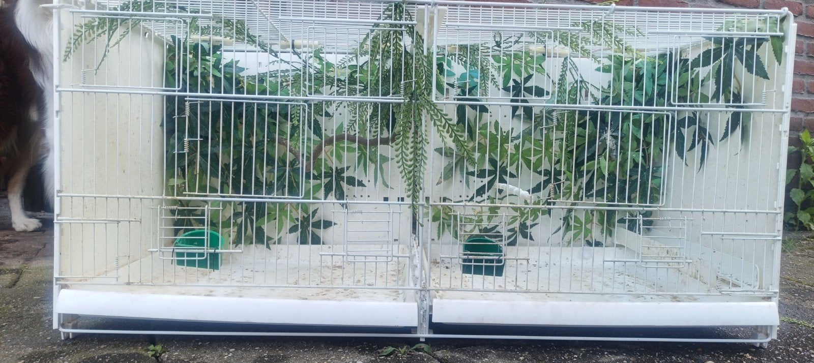 Draadkooi 90cm, Ophalen, Gebruikt, Hout, Vogelkooi