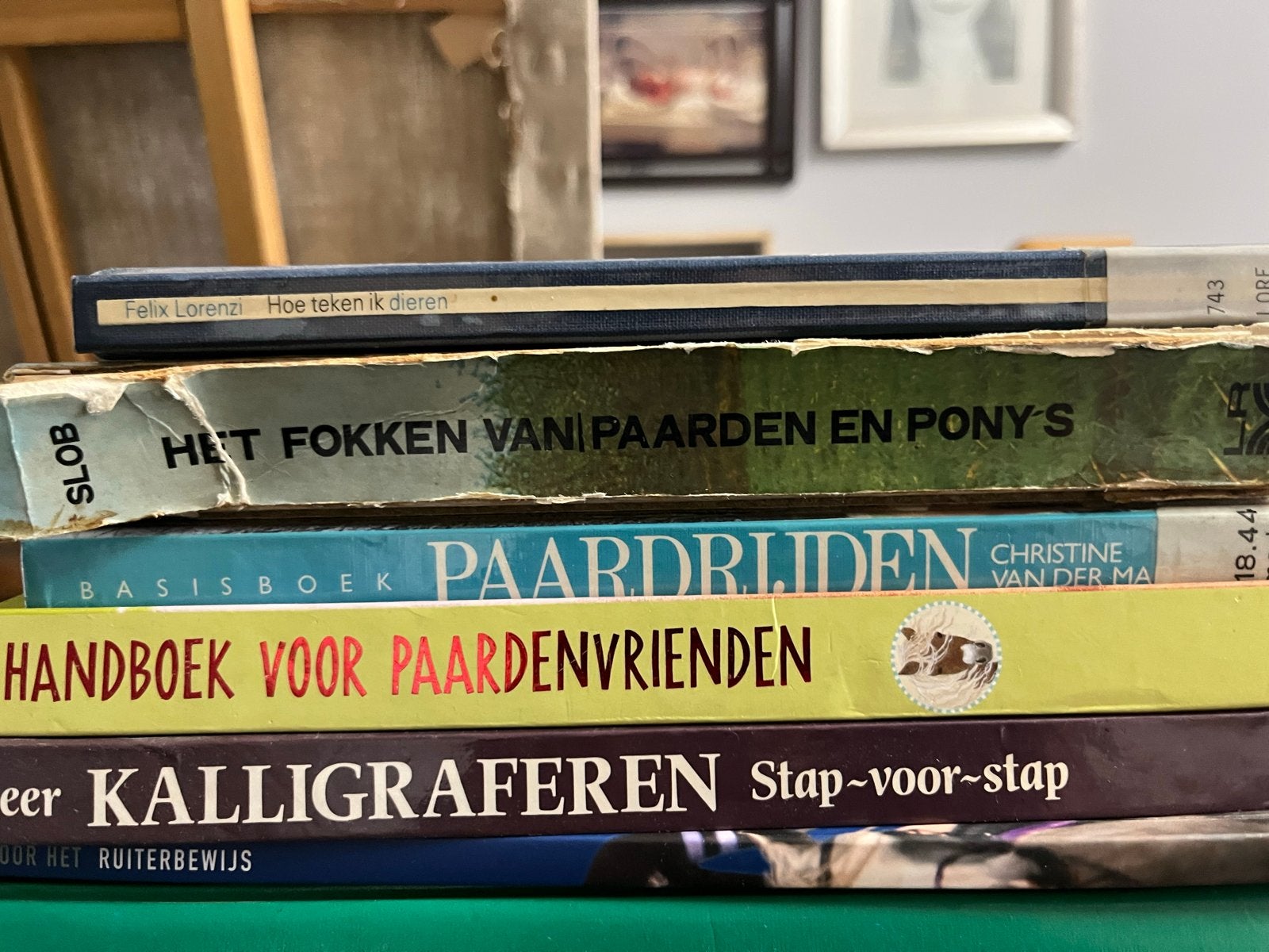 Grote collectie paardenboeken en meer, Ophalen, Gelezen, Overige onderwerpen, Geschikt voor kinderen