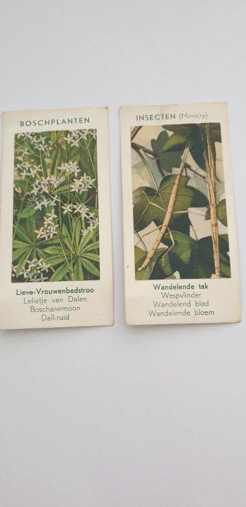 3273 2 kartonnen plaatjes uit oud kwartetspel van verkade, Boeken, Verzenden, Gelezen