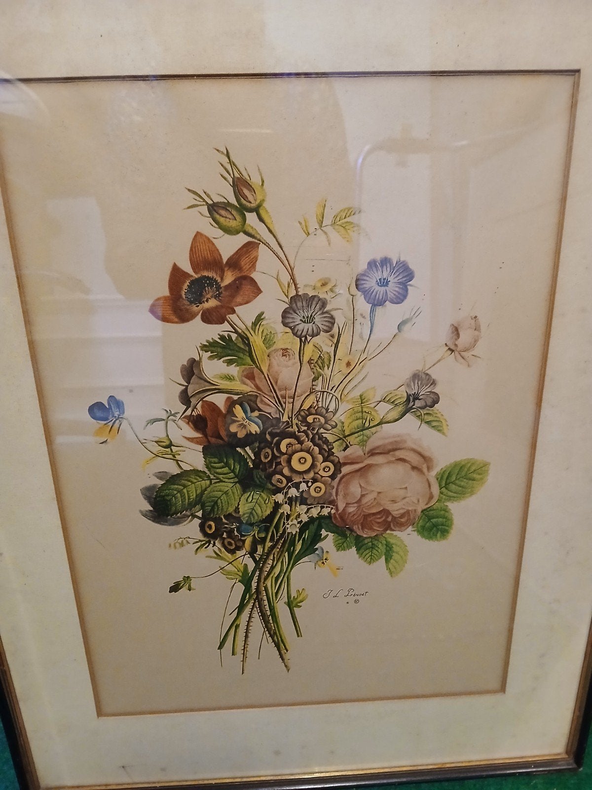 Botanische Gravure Jean-Louis Prevoost 1760-1810, Ophalen