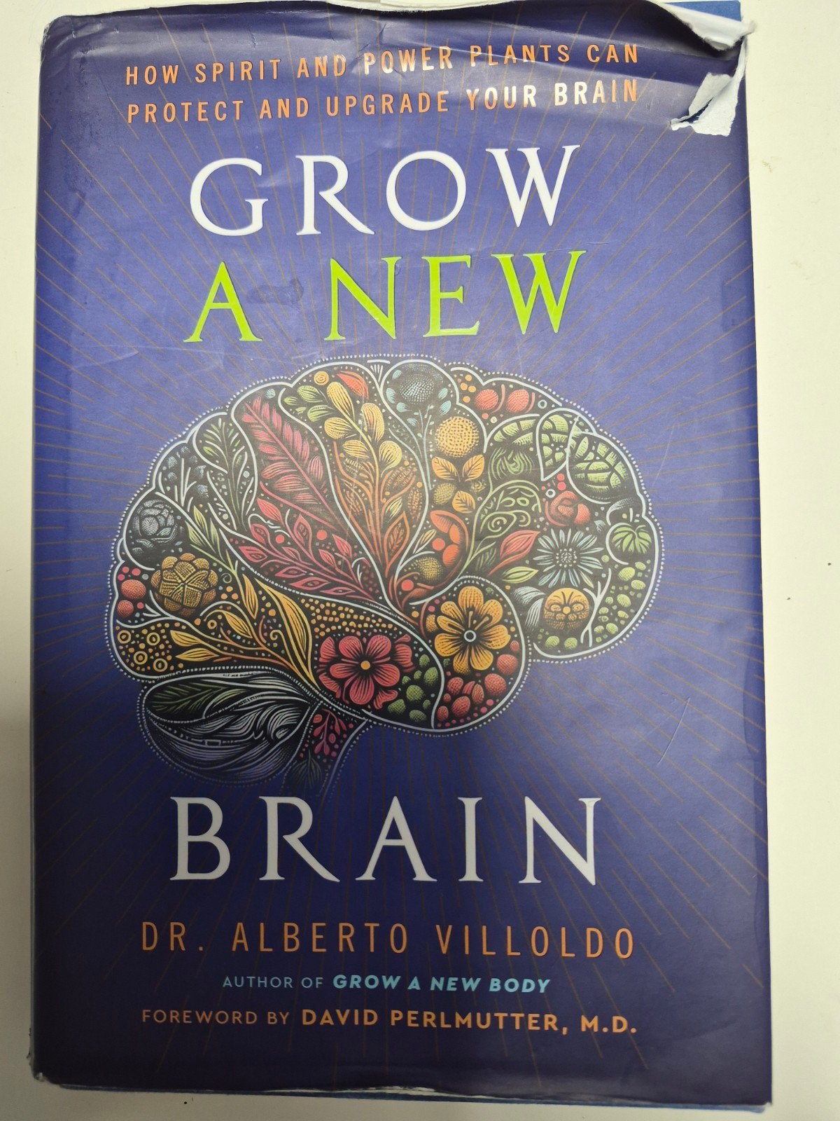 Grow A New Brain - Dr. Alberto Villoldo (Engels), Ophalen of Verzenden