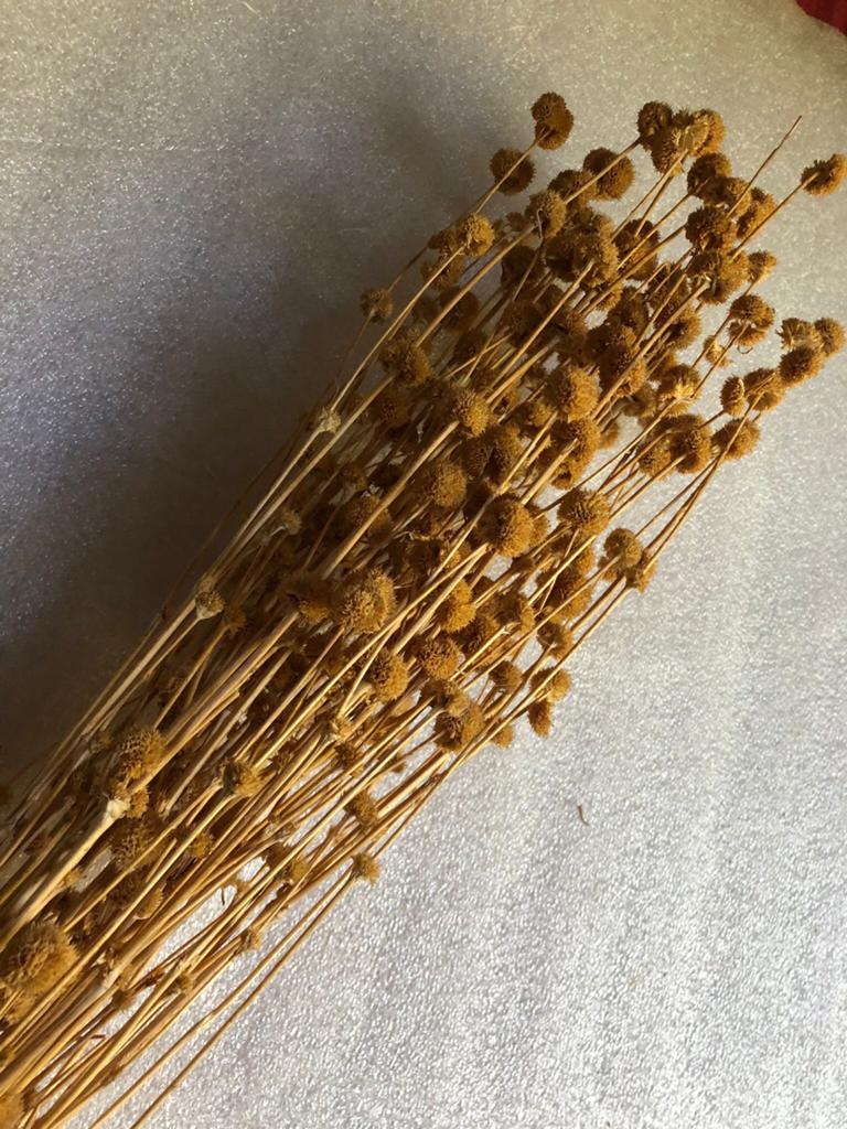 Gedroogde plant - diverse 2 € per bundel, Huis en Inrichting, Ophalen of Verzenden, Zo goed als nieuw