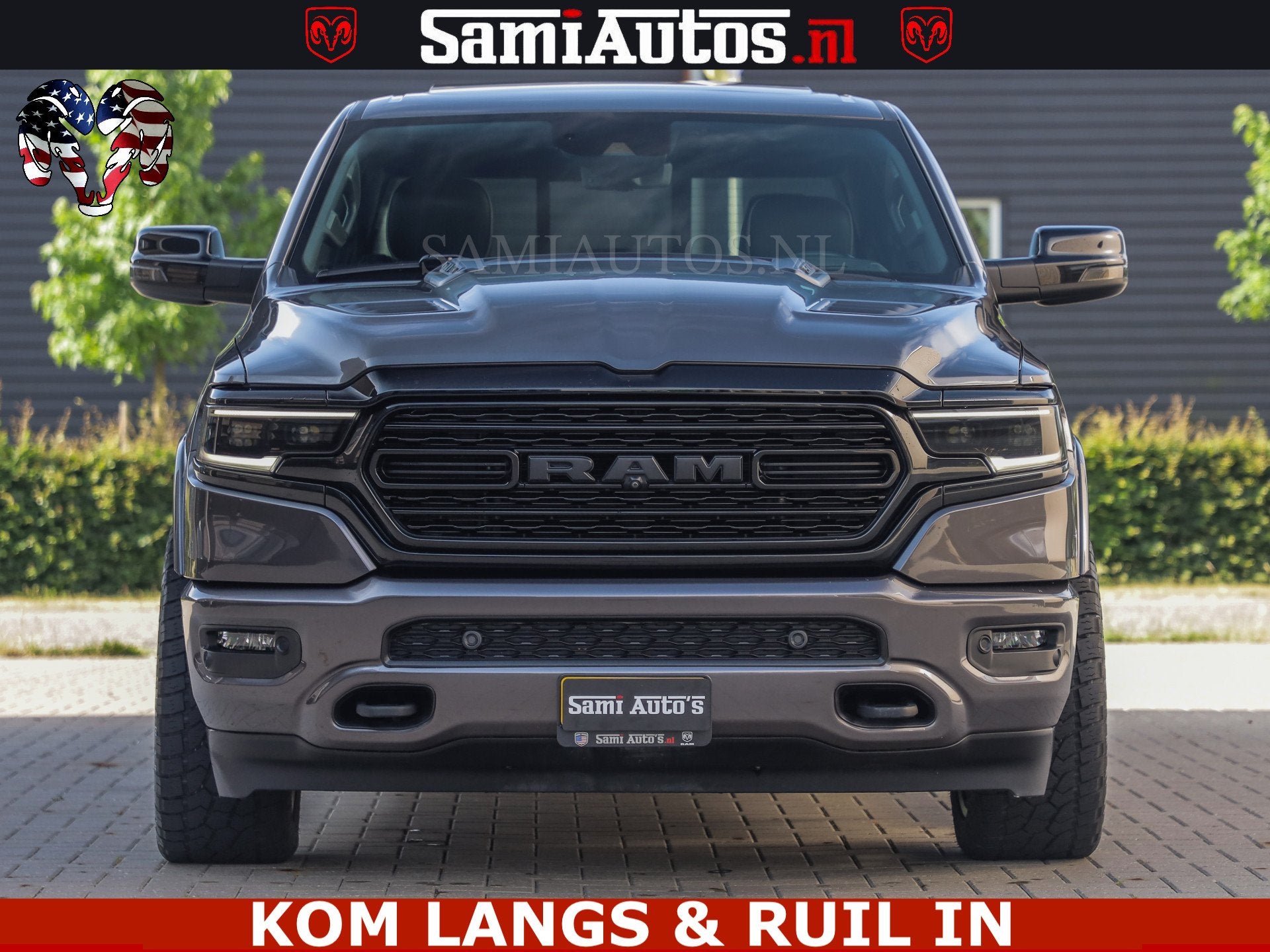 Dodge Overige Modellen
