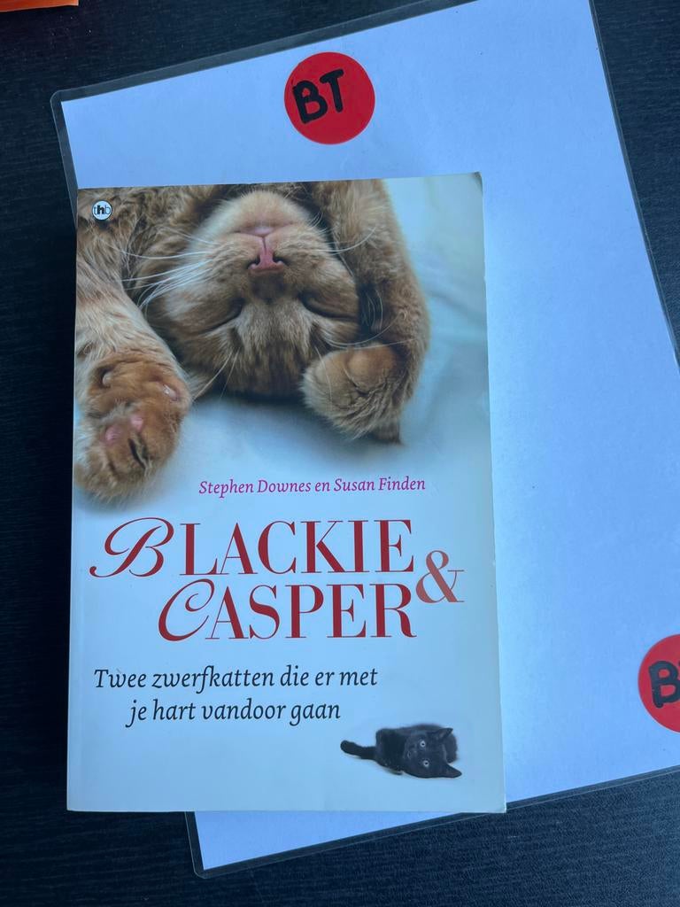 Blackie & Casper: Twee zwerfkatten die je hart stelen, Boeken, Ophalen of Verzenden, Zo goed als nieuw, Katten