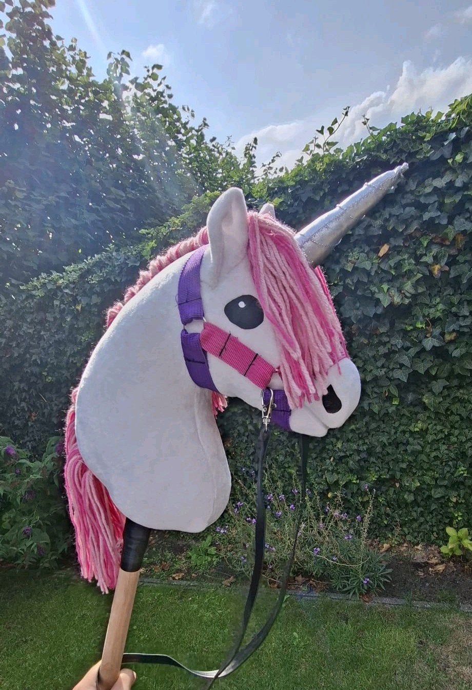 Hobbyhorse commissies!!, Ophalen of Verzenden, Nieuw
