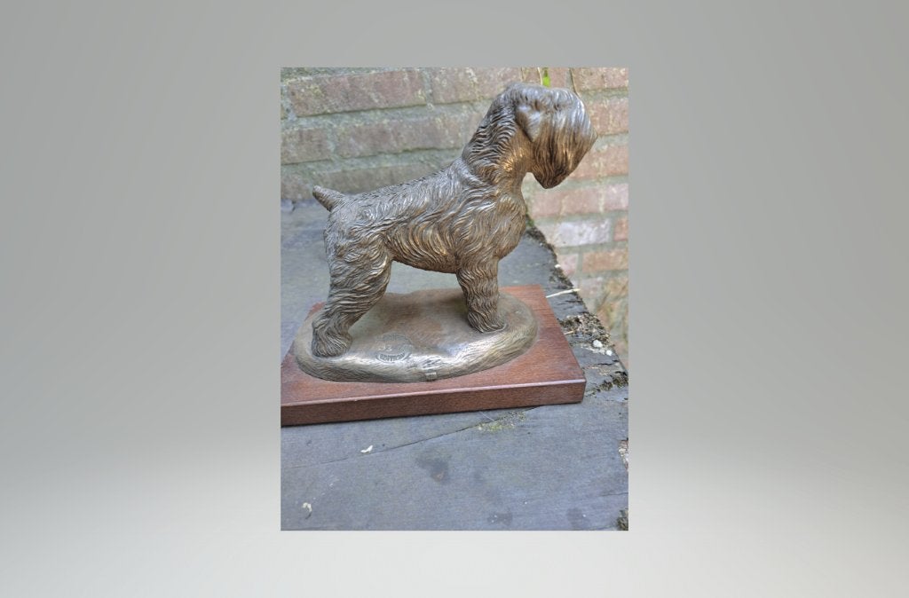 Te koop uniek beeld van een Russische Terrier, Ophalen of Verzenden, Nieuw, Dier