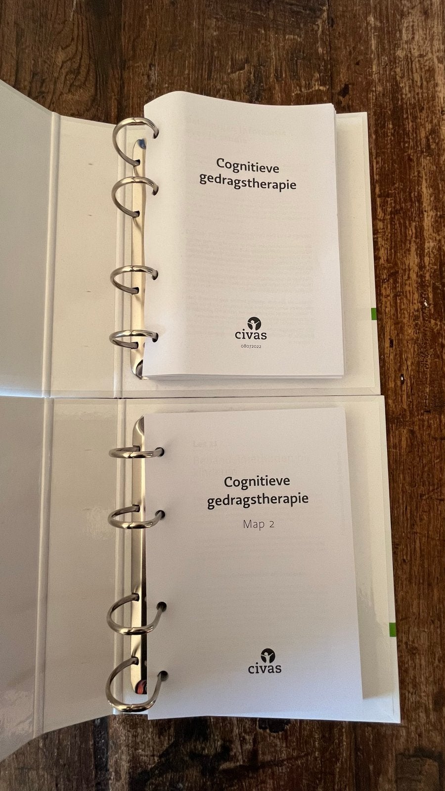 Cognitieve gedragstherapie Civas, Boeken, Studieboeken en Cursussen, Ophalen of Verzenden, Beta, Zo goed als nieuw, HBO