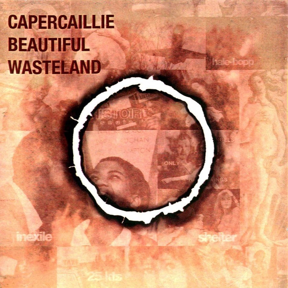 cd van Capercaillie ‎– Beautiful Wasteland, Verzenden, Zo goed als nieuw
