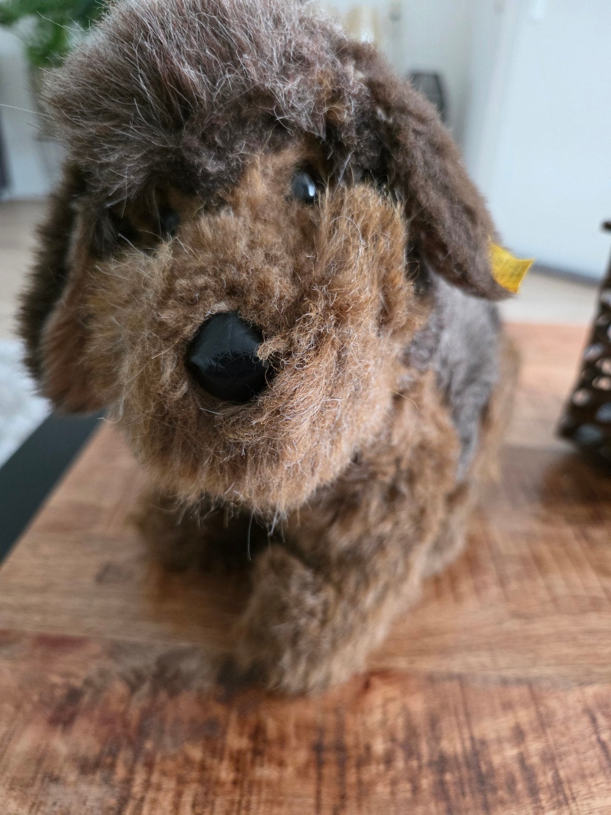 Steiff Ruwharige Teckel - Perfecte Staat, ca. 30 cm, Ophalen of Verzenden, Zo goed als nieuw, Bruin, Hond