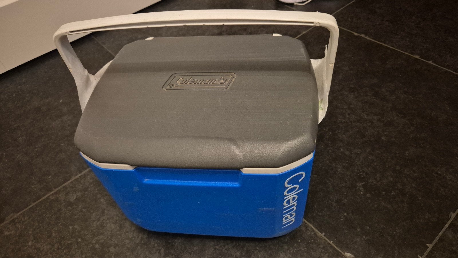Coleman Koelbox 15L Model 5877 - Blauw/Grijs, Caravans en Kamperen, Ophalen, Gebruikt, Koelbox, Koelelement