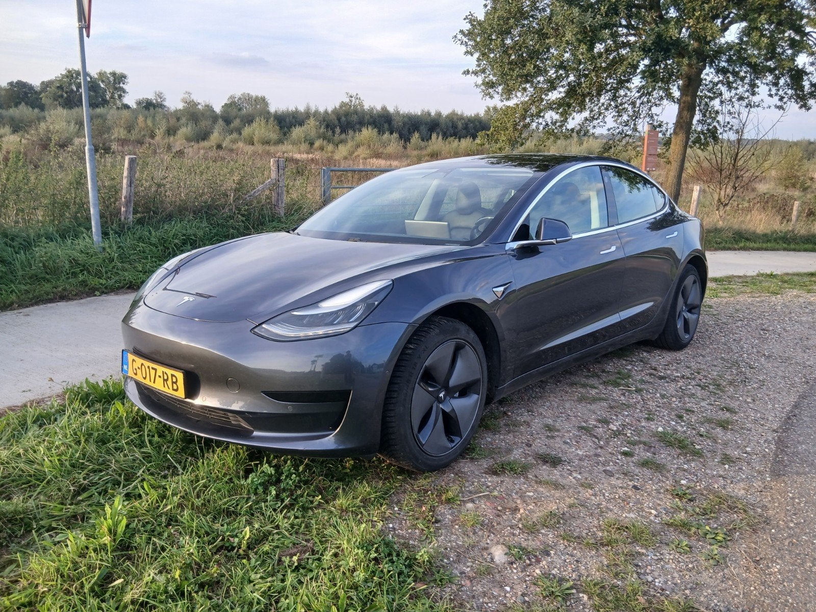 Foto 3 van Tesla Model 3 2019 Grijs