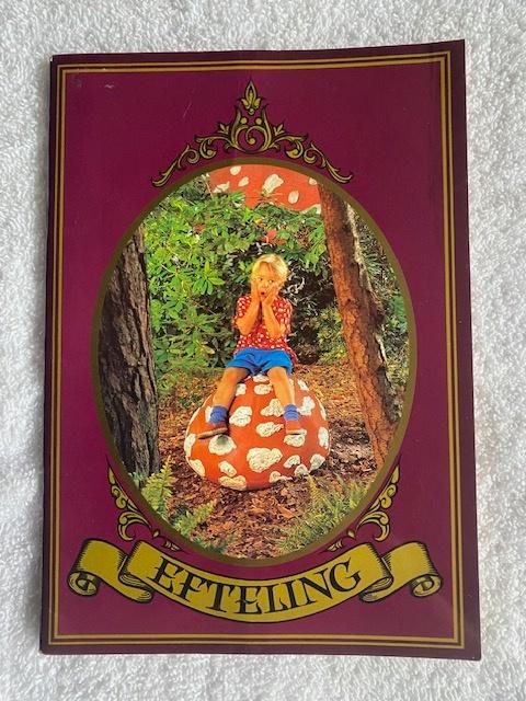 efteling fotoboekje, Verzamelen, Efteling, Ophalen of Verzenden