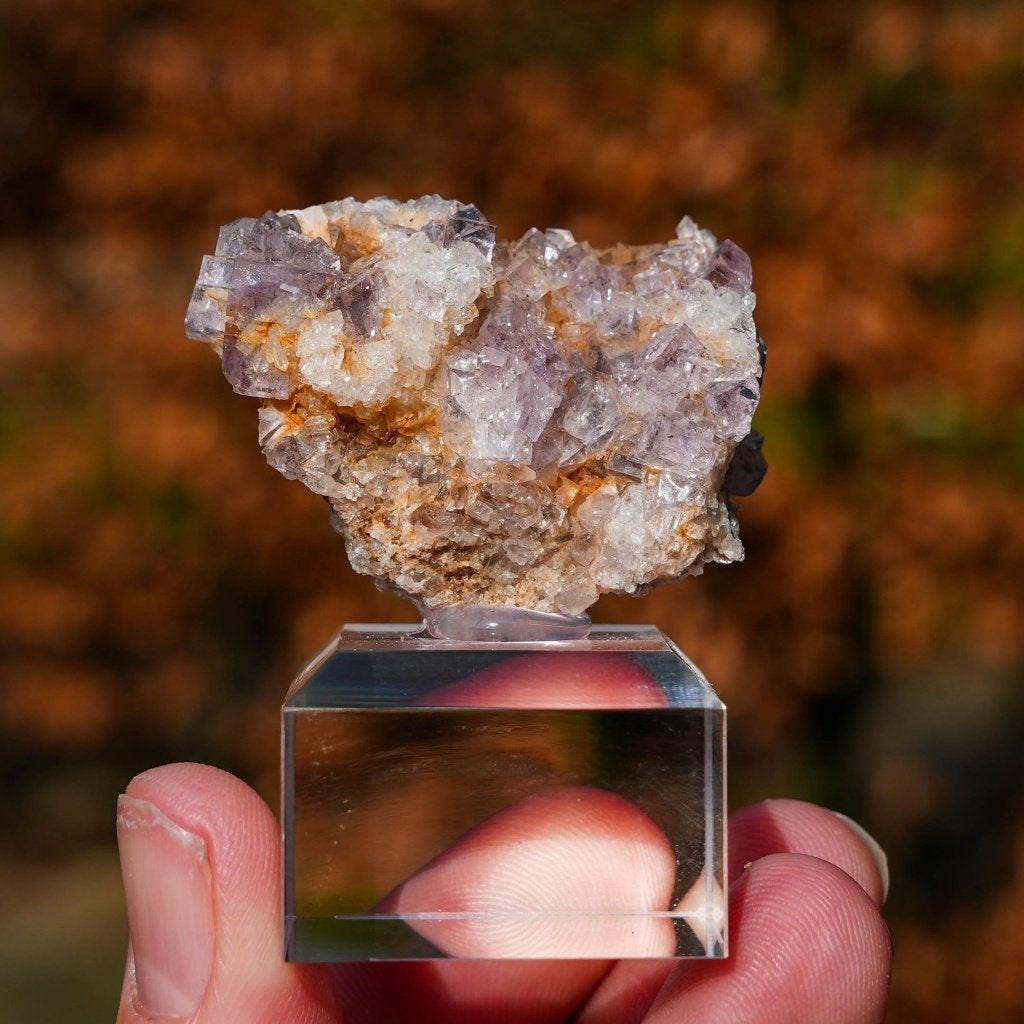 Fluoriet uit Berbes #2, Ophalen of Verzenden, Mineraal