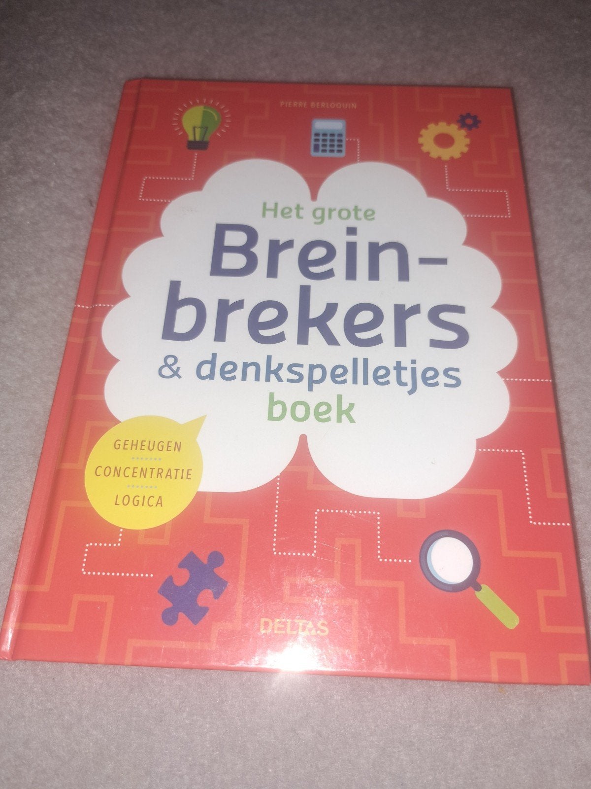 Het grote breinbrekers en denkspelletjes boek, Ophalen of Verzenden, Zo goed als nieuw, Pierre Berloquin