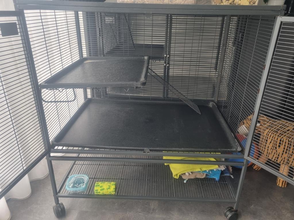 Rattenkooi enkele critter nation te koop, Ophalen, Gebruikt, Kooi, 90 cm of meer