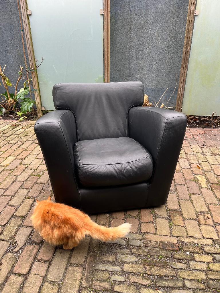 Label Barzoi Fauteuil Gerard van de Berg Montis leer, Gebruikt, 75 tot 100 cm, Loungen Comfortabel Dutch Design Vintage Mancave Veranda