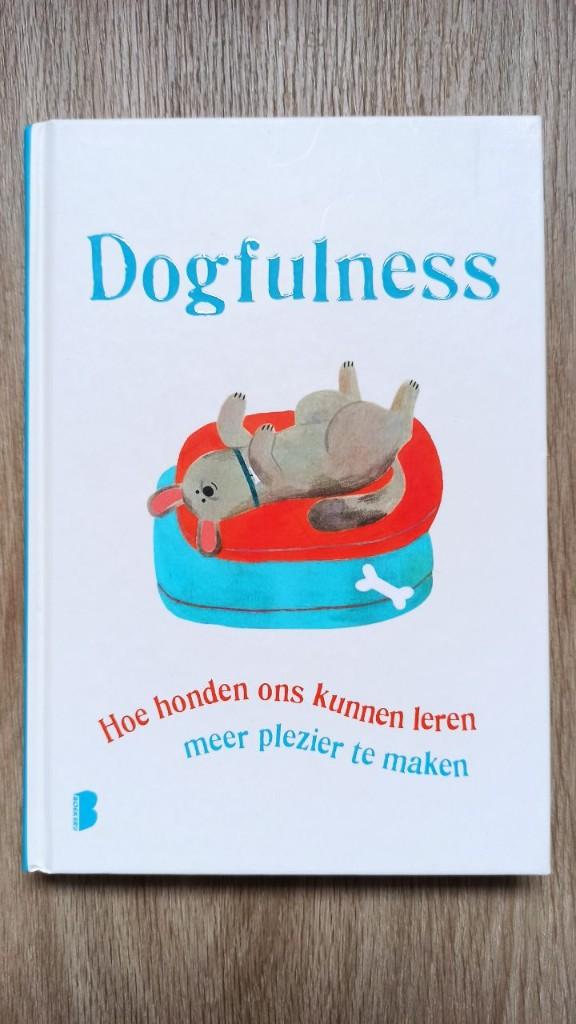 Paolo Valentino - Dogfulness, Boeken, Ophalen of Verzenden, Zo goed als nieuw, Spiritualiteit algemeen, Overige typen