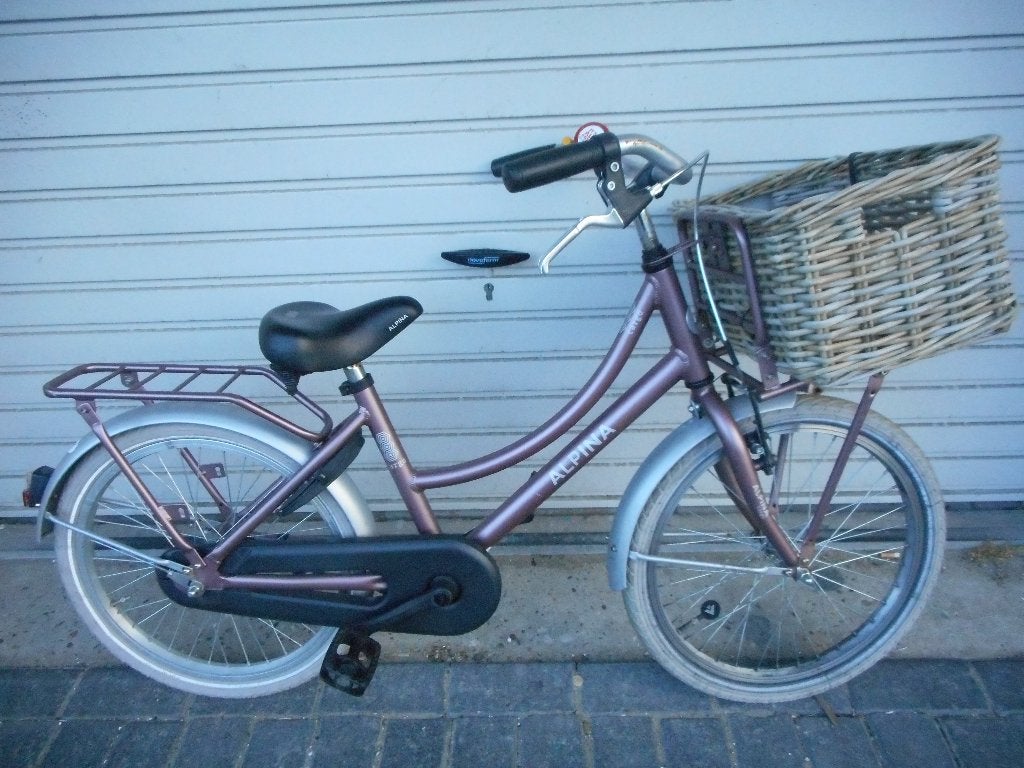 Alpina Cargo 20 inch incl mand, Fietsen en Brommers, Fietsen | Meisjes, Ophalen, Terugtraprem, Gebruikt, Alpina