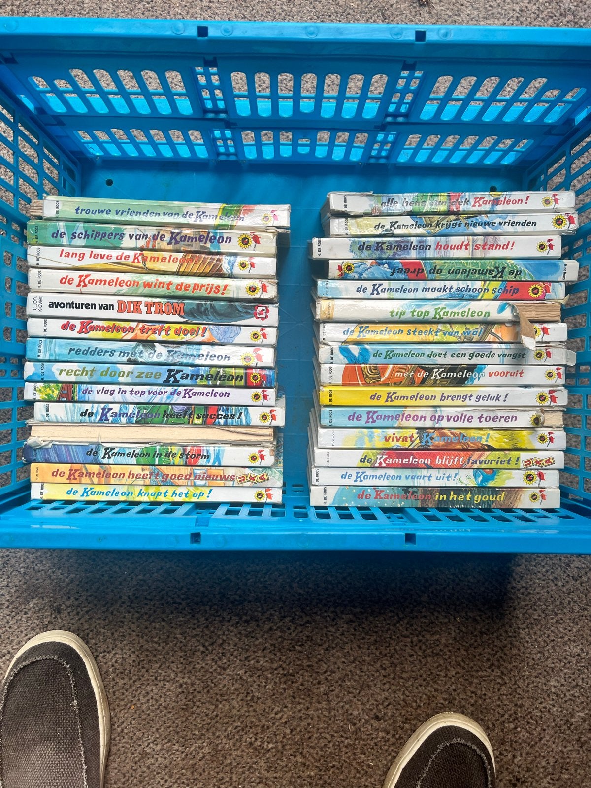Grote collectie De Kameleon boeken - 25 stuks, Ophalen of Verzenden, Gelezen, Fictie algemeen