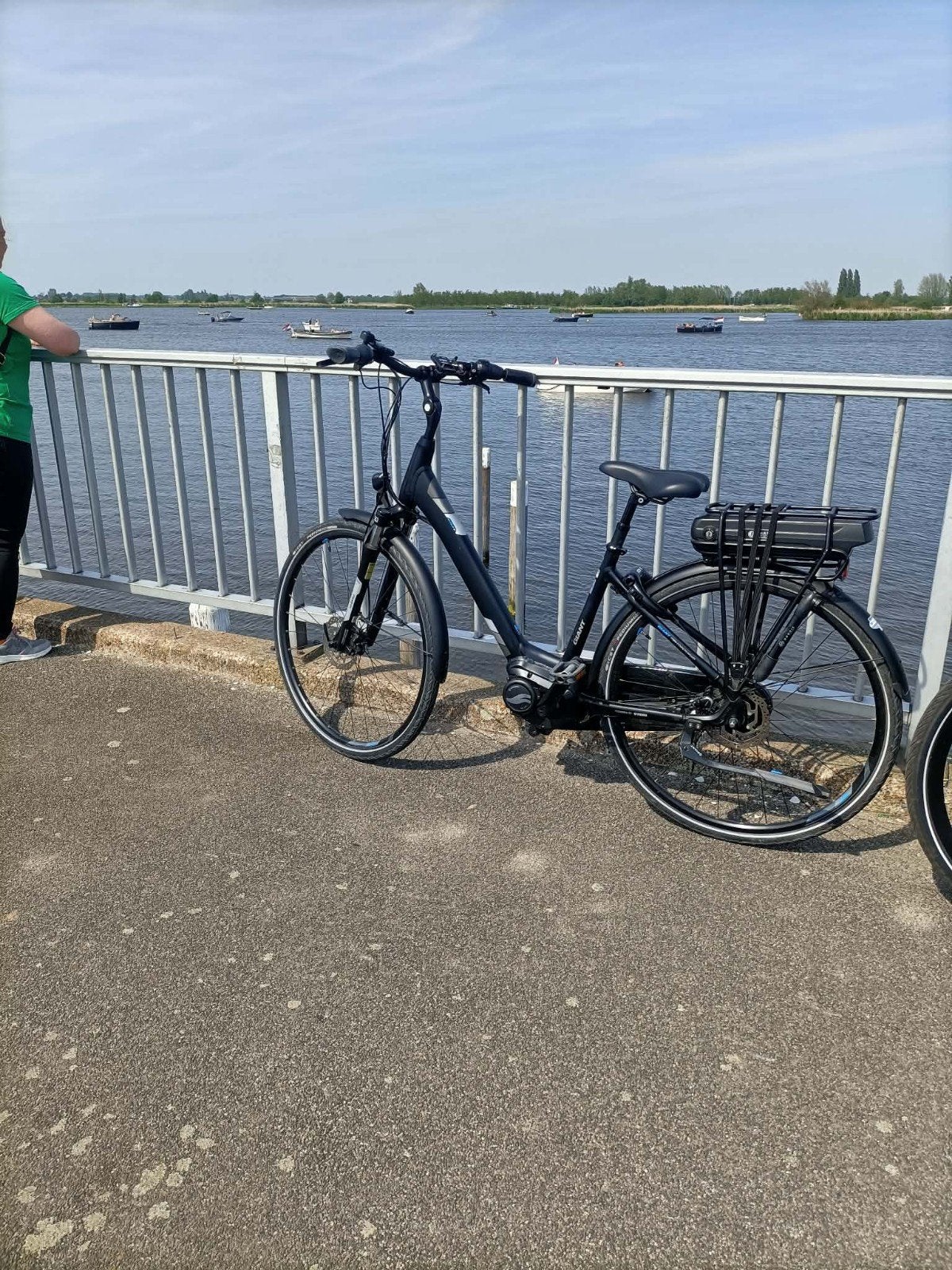 Gestolen: Giant Entour E+ elektrische fiets (Schiedam), Ophalen of Verzenden